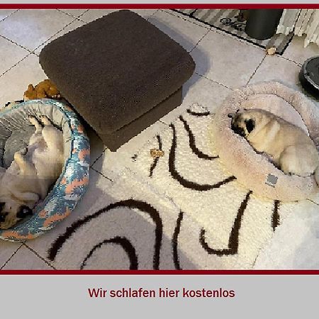 Stadt-Gut-Hotel Rheinischer Hof Essen Dış mekan fotoğraf